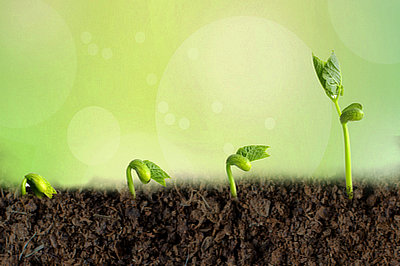 中央財(cái)經(jīng)大學(xué)在職研究生真的在河南地區(qū)有招生嗎？