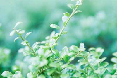 中央財(cái)經(jīng)大學(xué)在職研究生報(bào)考條件