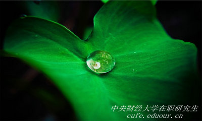 報(bào)考中央財(cái)經(jīng)大學(xué)在職研究生能升職嗎？