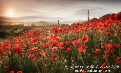 2018年免試入學的中央財經(jīng)大學在職研究生單位認可嗎？