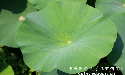 2018年中央財(cái)經(jīng)大學(xué)在職研究生可以獲得雙證嗎？