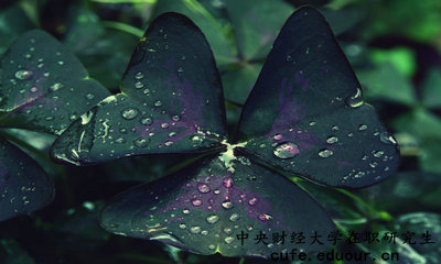 中央財(cái)經(jīng)在職研究生怎么報(bào)名？