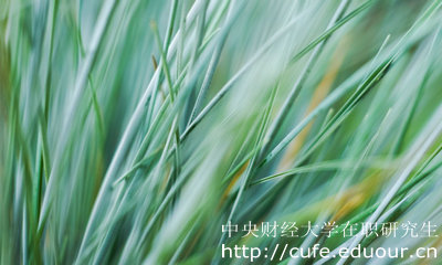 中財在職研究生申碩方式有哪些？