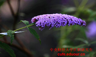 2018年中央財經(jīng)大學雙證在職研究生報名什么時候？