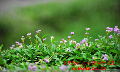 中財北京在職研究生招生專業(yè)？