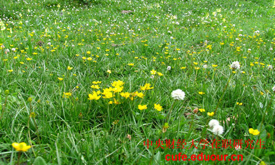 中央財(cái)經(jīng)大學(xué)在職研究生雙證現(xiàn)在可以打印準(zhǔn)考證嗎？