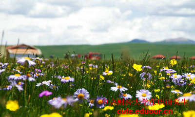 報(bào)考央財(cái)在職研究生學(xué)位證沒有可以嗎？