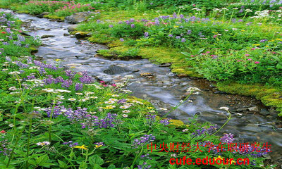 中央財經(jīng)大學(xué)金融學(xué)在職研究生費用貴嗎？