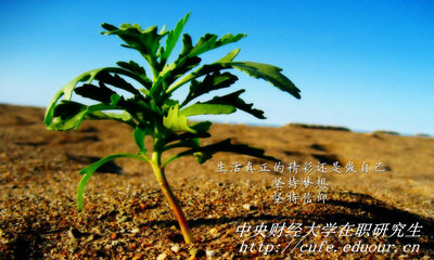 中央財(cái)經(jīng)大學(xué)在職研究生同等學(xué)力申碩有哪些優(yōu)勢(shì)？