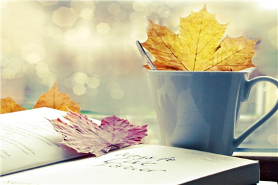 中央財經大學在職研究生